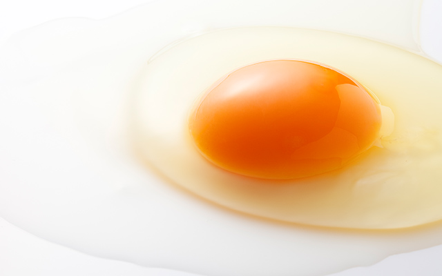 箸で持ち上げられる新鮮な卵